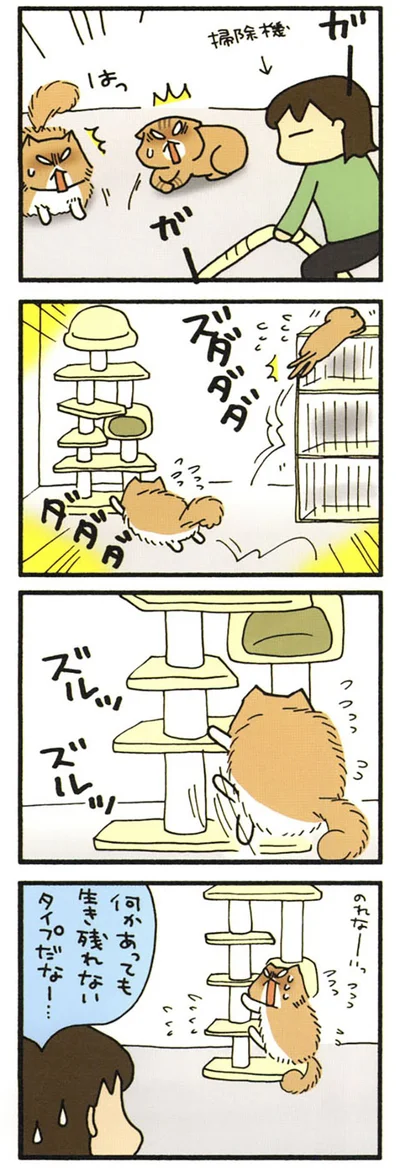 あせるもじゃ