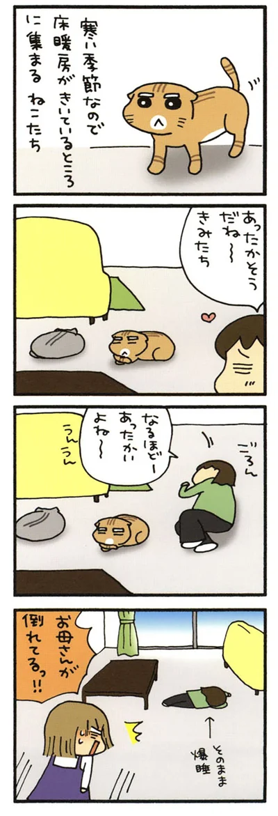 床暖房には勝てず