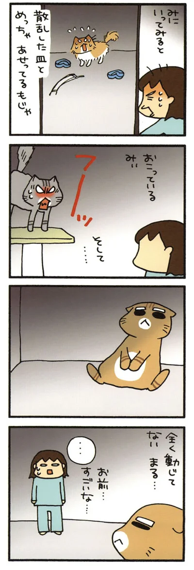 動じないまる