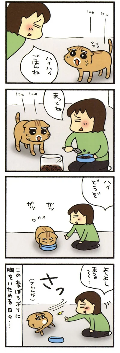 変貌するまる