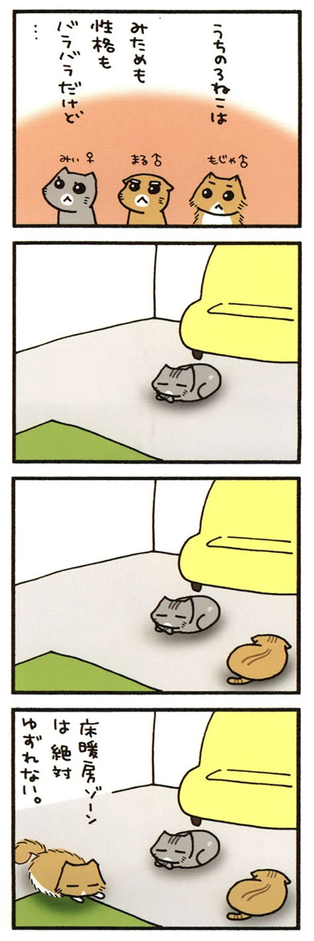 うちの3ねこ