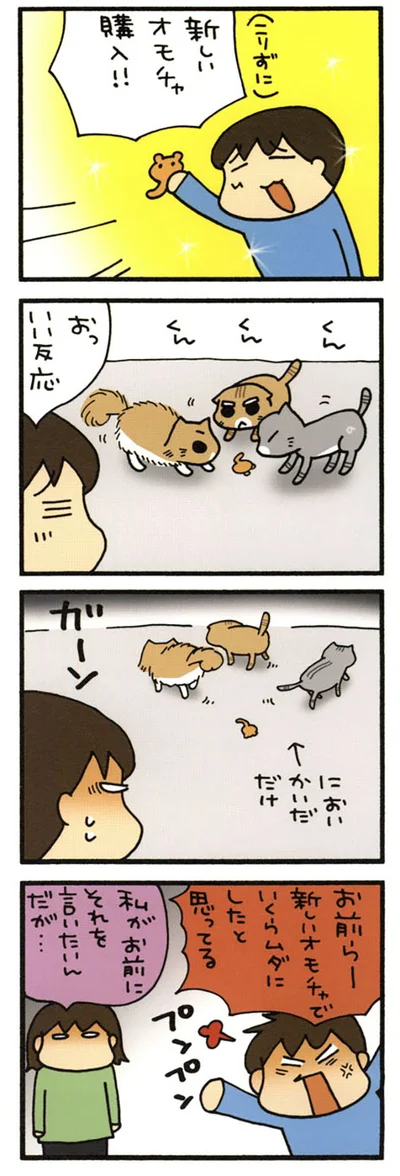 新しいオモチャ