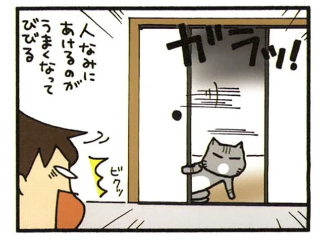 人なみに開けるのがうまくなってびびる