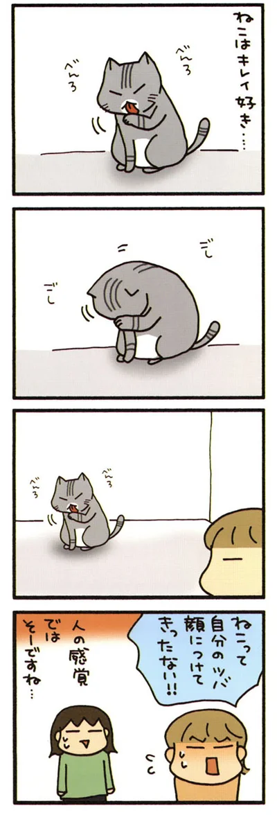 ネコの顔あらい