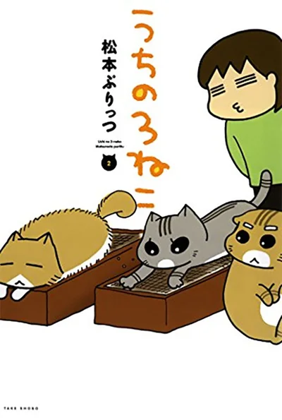 『うちの3ねこ（2）』