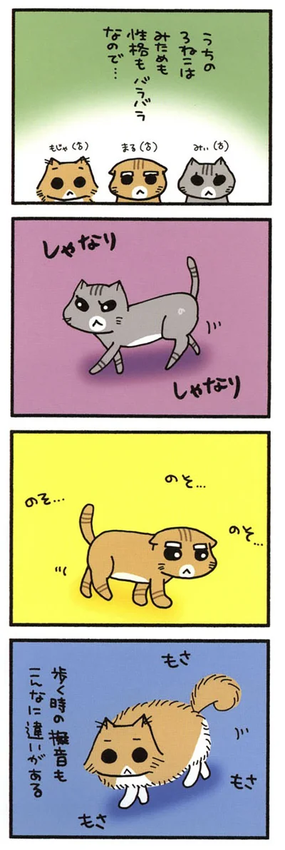 うちの3ねこ