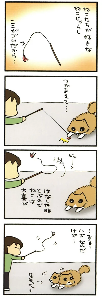 見失うもじゃ
