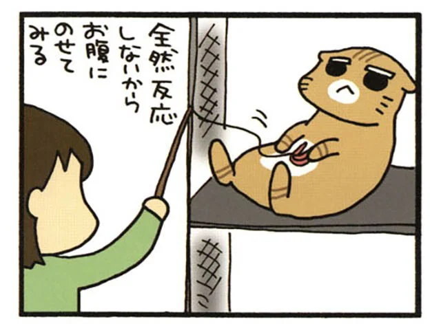 全然反応しないから