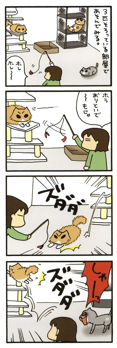 おりたいのはやまやま