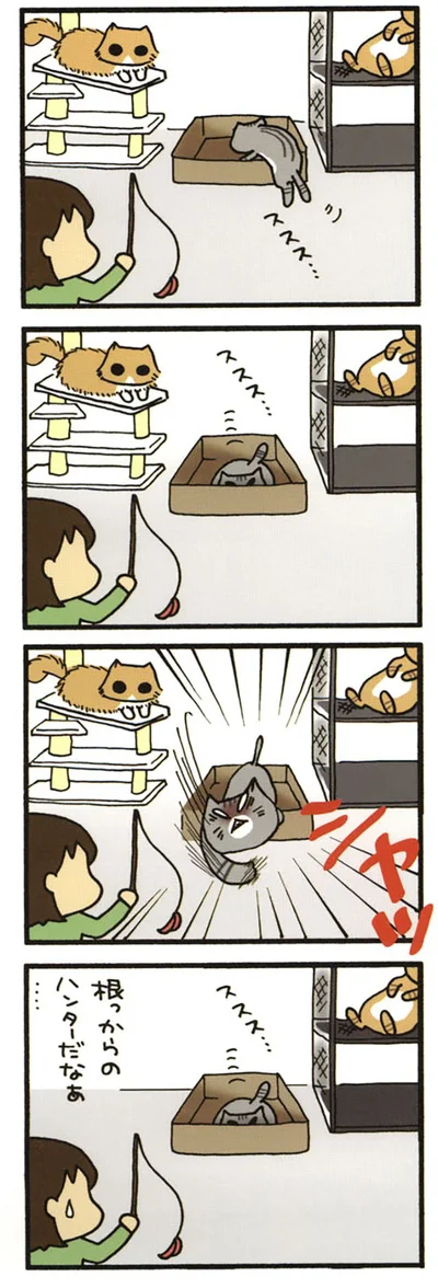 潜むみぃ