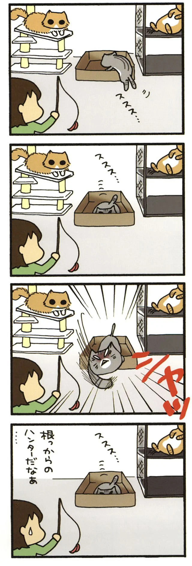 潜むみぃ