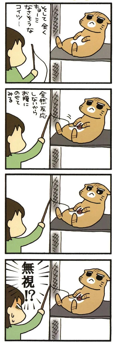 興味ないまる