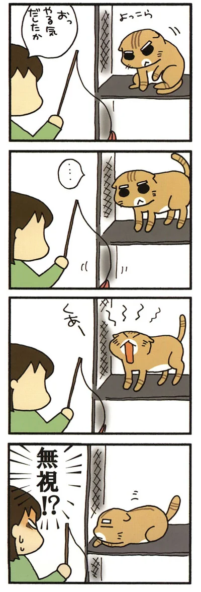 眠いまる