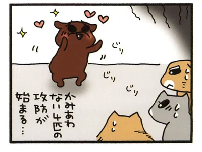 ４匹の攻防が始まる…