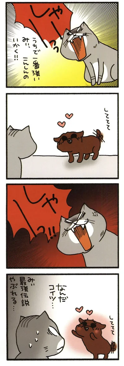 みぃ敗北
