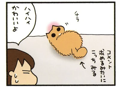 ハイハイかわいいよ