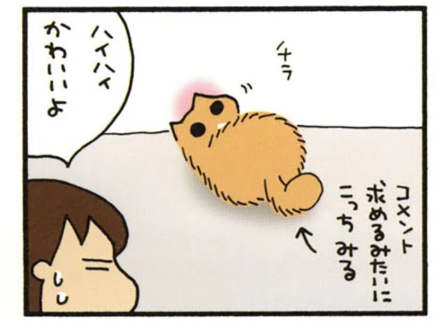 ハイハイかわいいよ