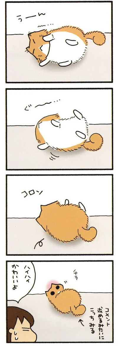 アピールするもじゃ