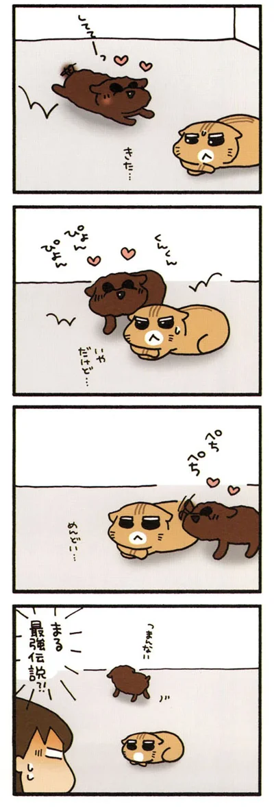 大敗北