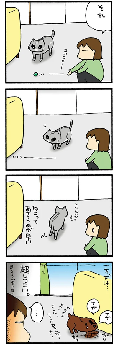 あきらめないで