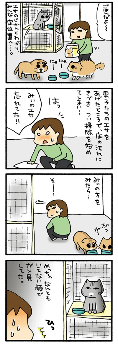無言の訴え