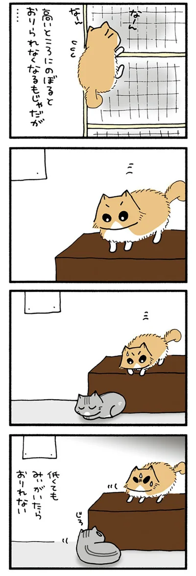 おりれないもじゃ