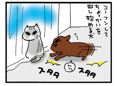 ちょっかいを出し始める犬