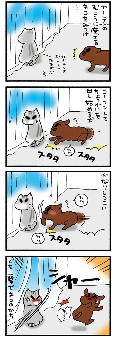 犬VSみぃ