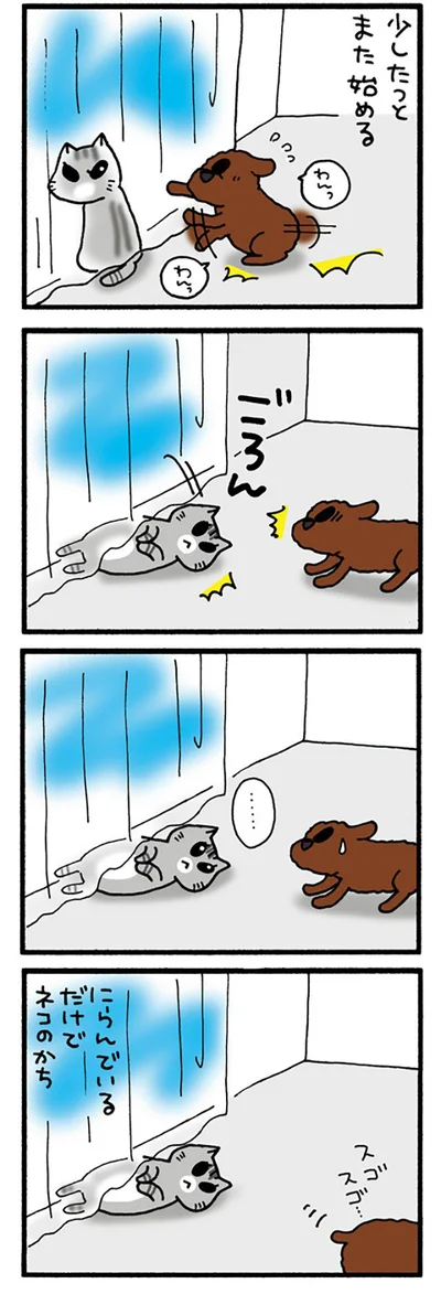 続・犬VSみぃ