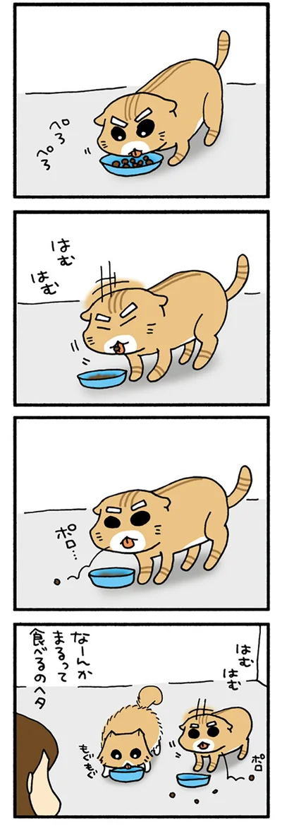 こぼすまる
