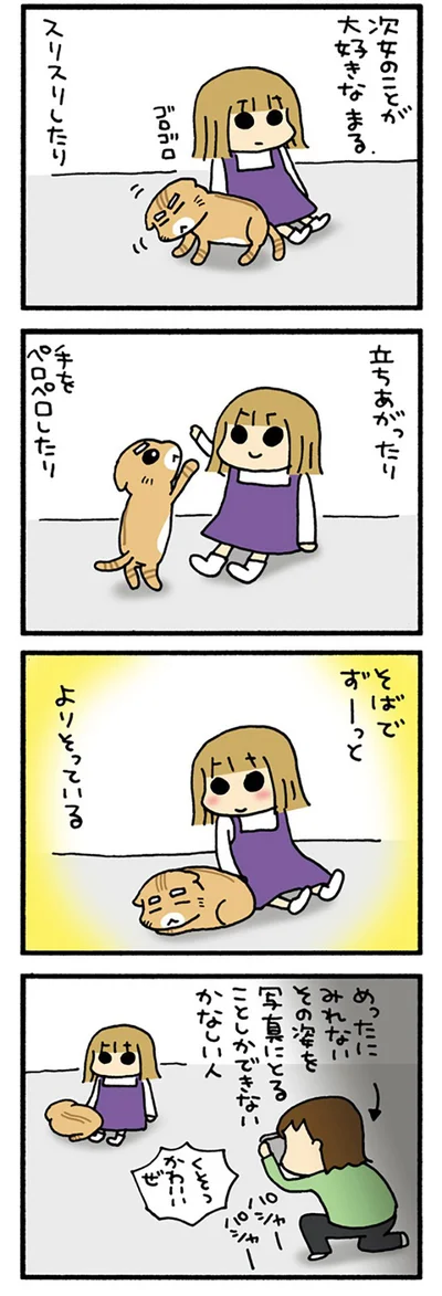 かわいいまる