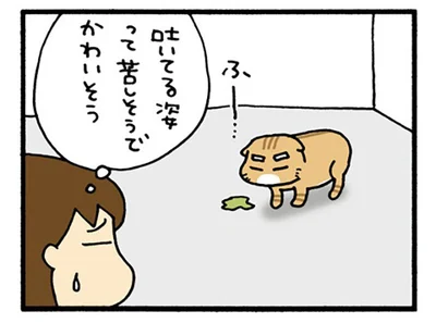 吐いてる時って苦しそうでかわいそう