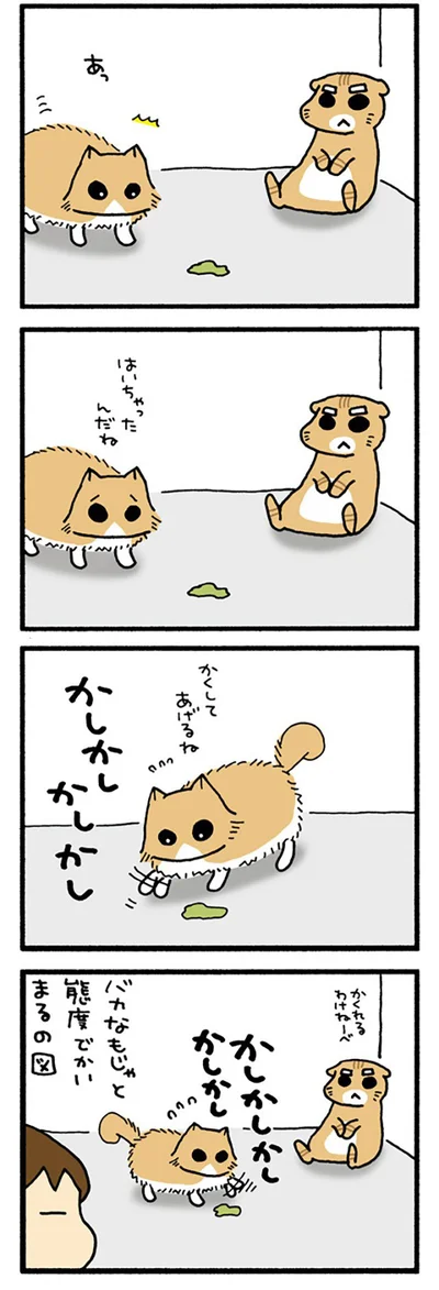 隠すもじゃ