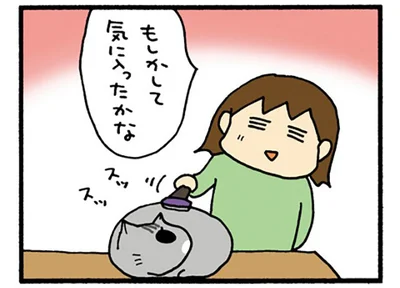 気に入ったかな