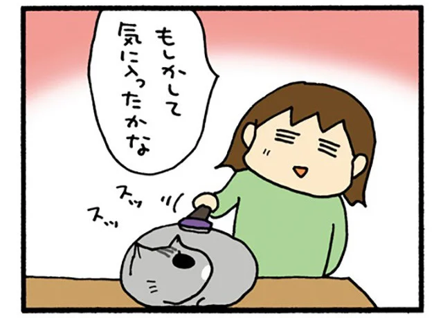 ねこの怒りスイッチは突然に。寝ている間にブラッシングをしてあげたら／うちの3ねこ（30）