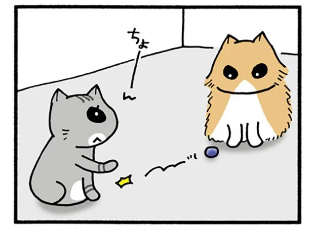 ちょっと可哀そう? 一緒にボール遊びをしただけで仲間にキレられたねこ／うちの3ねこ（31）