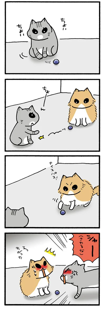 パスじゃないから