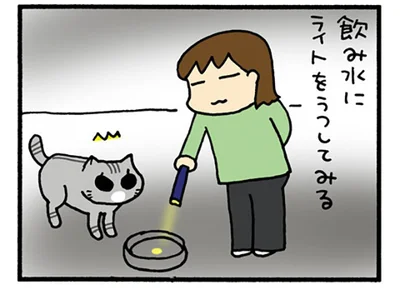 飲み水にライトを映してみる