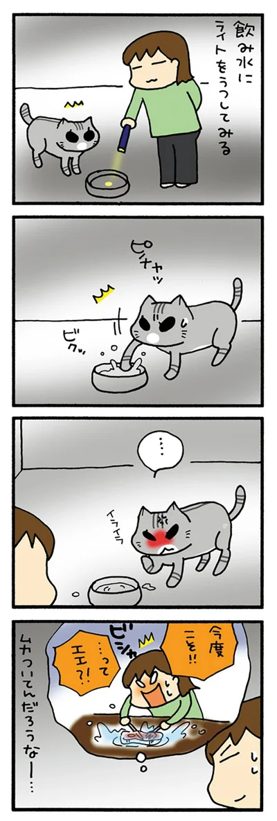 ムカつくみぃ