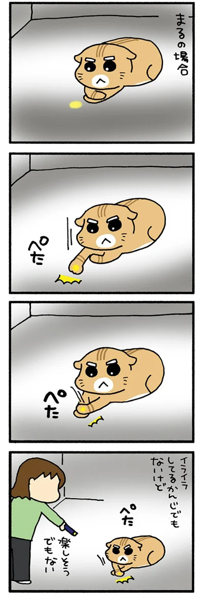 一応つかまえるまる