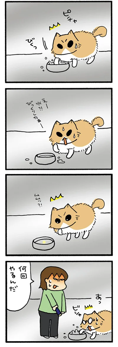何回やるんだ
