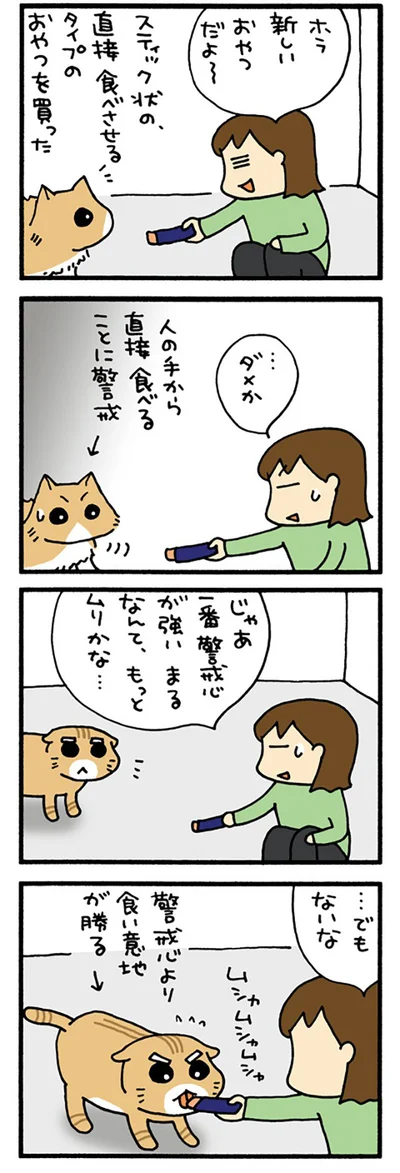 警戒などしていられないまる