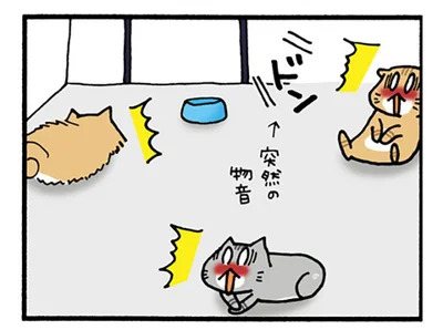 ねこたちのパニックぶり