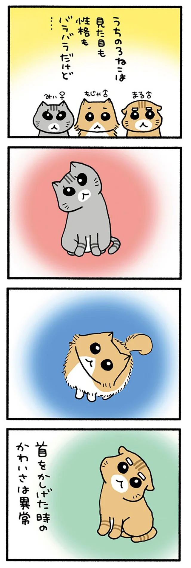 うちの3ねこ