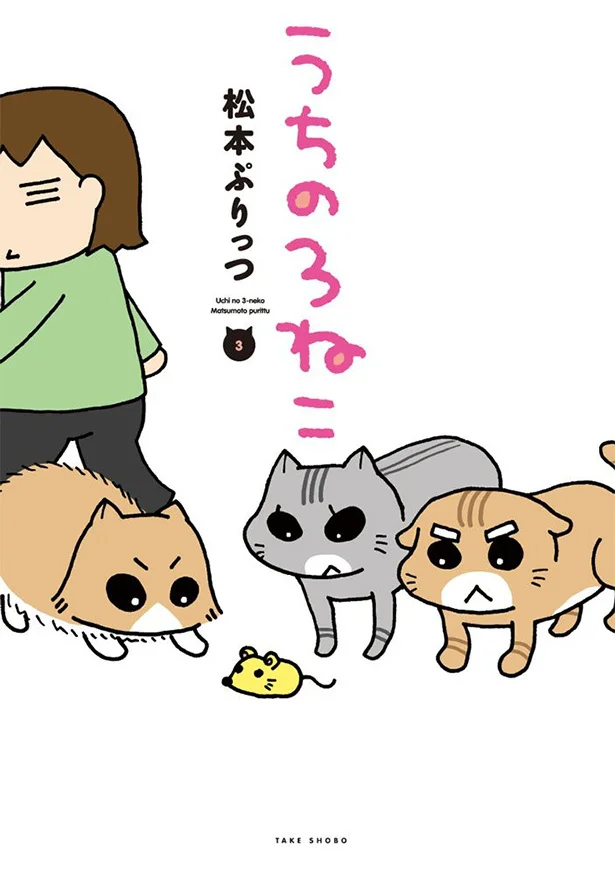 『うちの3ねこ（3）』