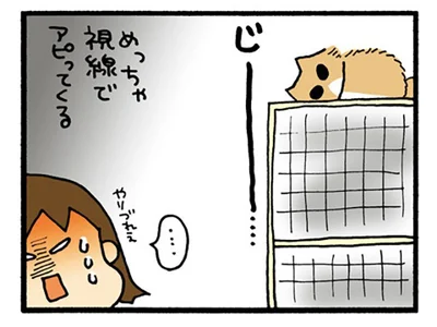 視線でアピってくる