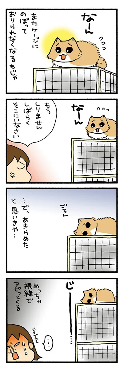 アピるもじゃ