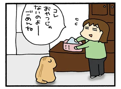 おやつじゃないのよ～