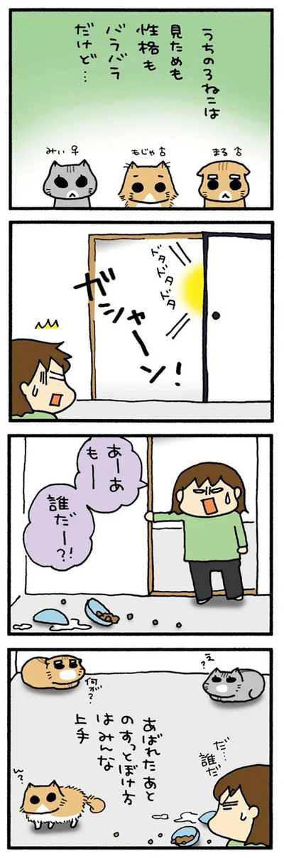 うちの3ねこ