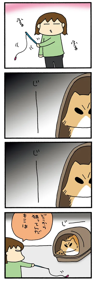 狙うもじゃ